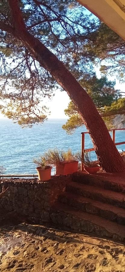 Апартаменты Cinqueterre National Park Sea View Фрамура Экстерьер фото